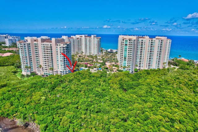 drone / aerial view with a city view and a water view