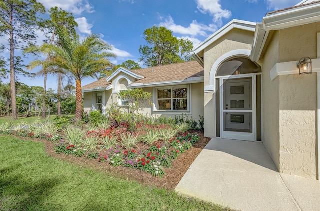 view of exterior entry with stucco siding and a shingled roof