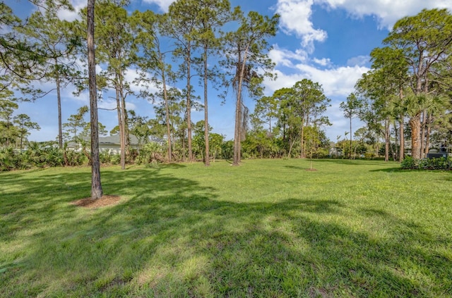 17393 84th Ct N, Loxahatchee, FL 33470 - view of grassy yard