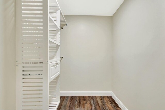 17393 84th Ct N, Loxahatchee, FL 33470 - walk in closet featuring wood finished floors