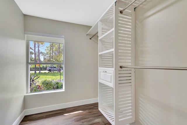 walk in closet featuring wood finished floors