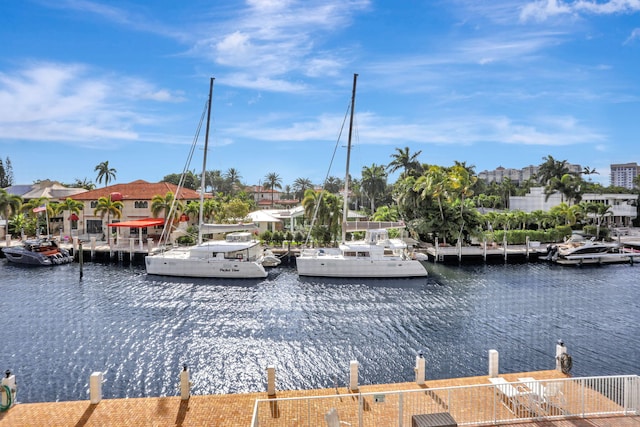 dock area with a water view