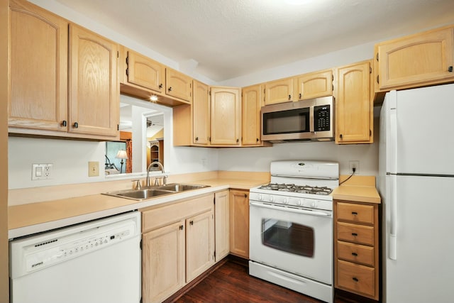 kitchen with light brown cabinetry, light countertops, dark wood-style floors, white appliances, and a sink