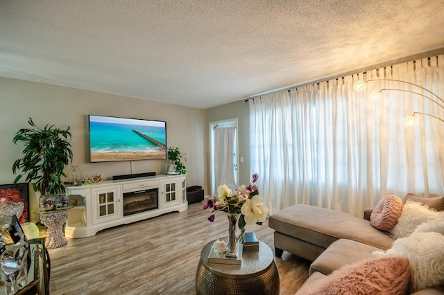 2012 Durham A, Deerfield Beach, FL 33442 - living room featuring a textured ceiling and wood finished floors