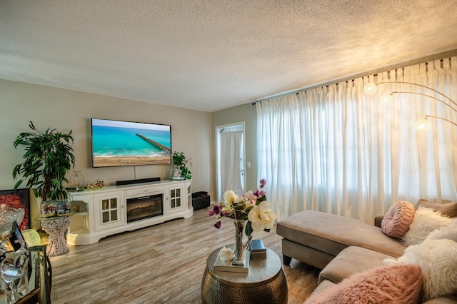 living room with a textured ceiling and wood finished floors