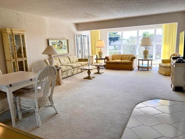 living area featuring carpet and a textured ceiling