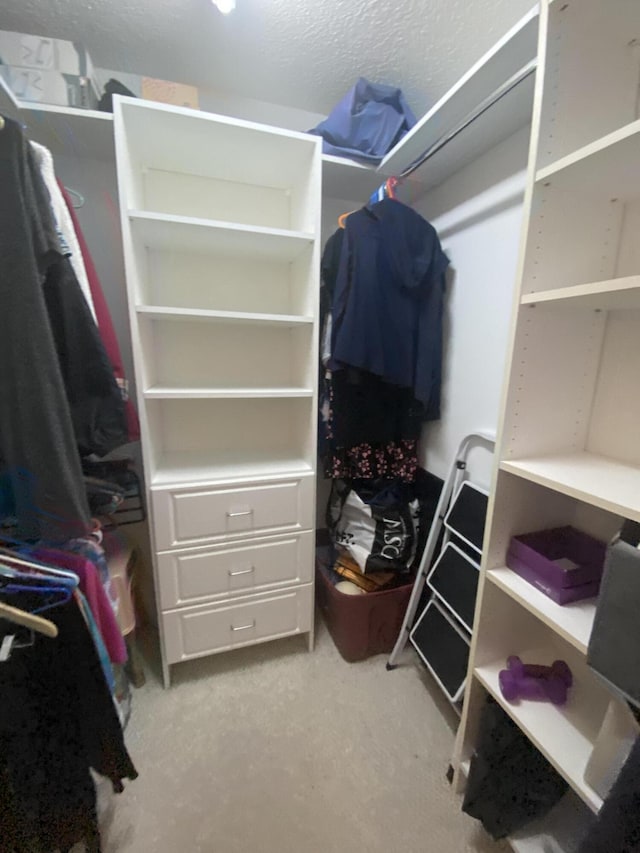 view of walk in closet