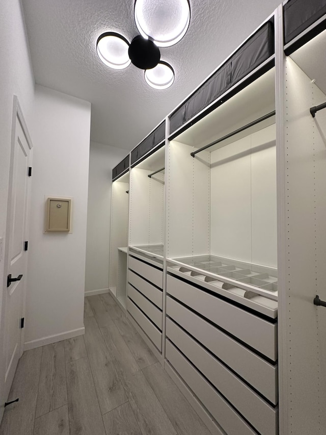 walk in closet featuring light wood-type flooring