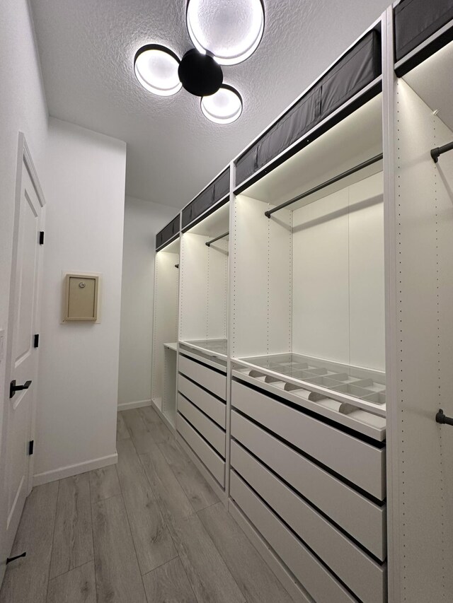 spacious closet with light wood-type flooring