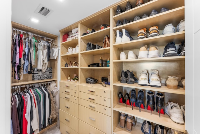 spacious closet with visible vents