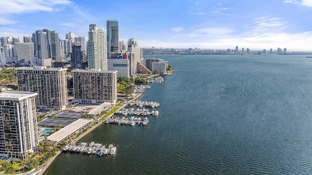 drone / aerial view with a water view and a city view