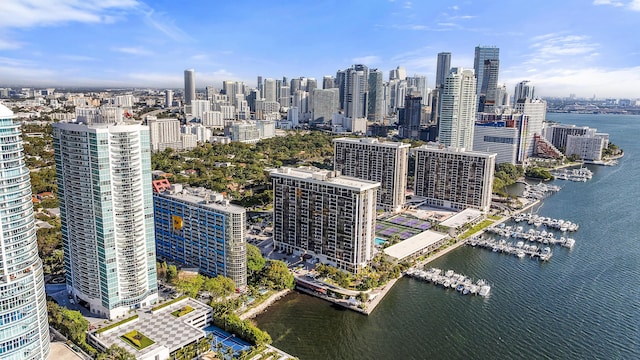 bird's eye view with a city view and a water view