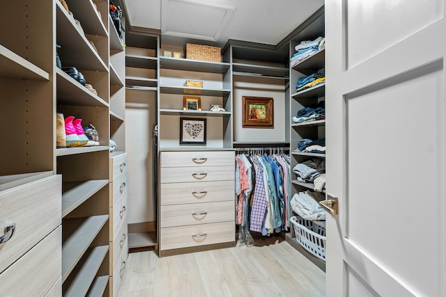 walk in closet featuring light wood finished floors