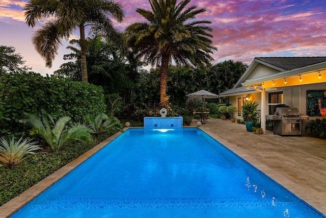 pool featuring area for grilling and a patio