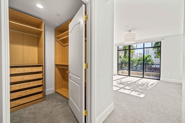 spacious closet with carpet