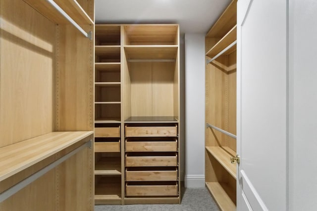 spacious closet with carpet flooring