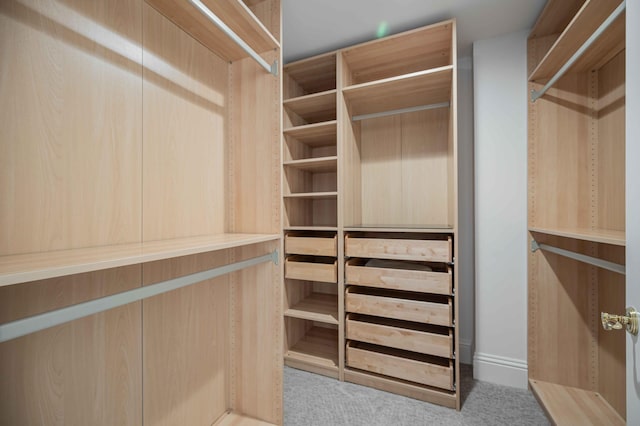 walk in closet featuring carpet flooring