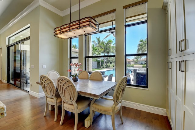 dining space with hardwood / wood-style floors, crown molding, baseboards, and a wealth of natural light