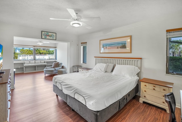 bedroom featuring multiple windows, a textured ceiling, ceiling fan, and wood finished floors