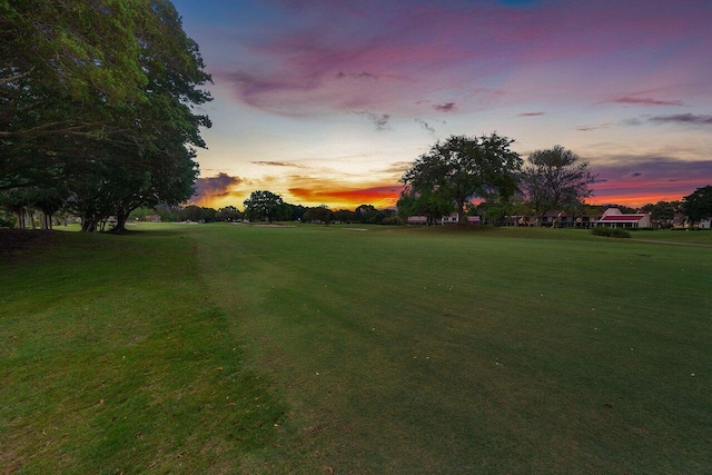 view of yard at dusk