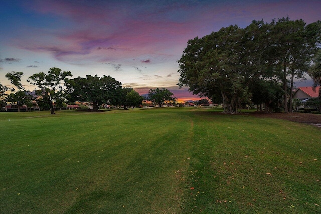 view of yard at dusk