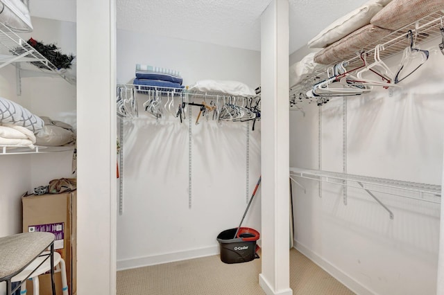 168 Brackenwood Rd, Palm Beach Gardens, FL 33418 - spacious closet featuring carpet floors