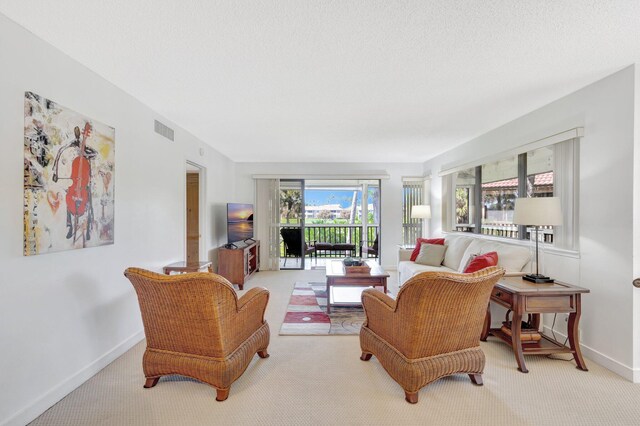 168 Brackenwood Rd, Palm Beach Gardens, FL 33418 - carpeted living room featuring visible vents, baseboards, and a textured ceiling