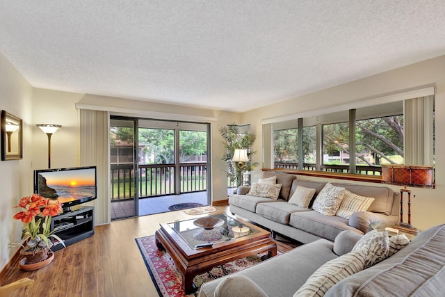 living area featuring a textured ceiling and wood finished floors