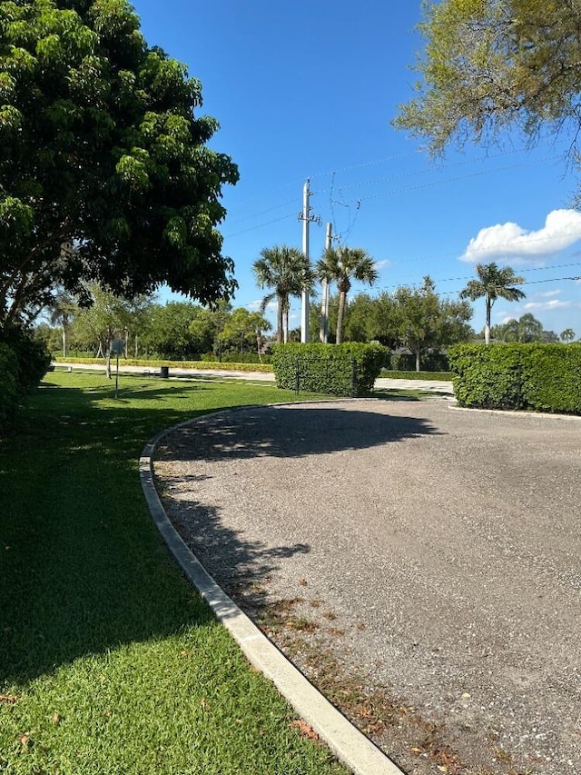 view of community with a lawn