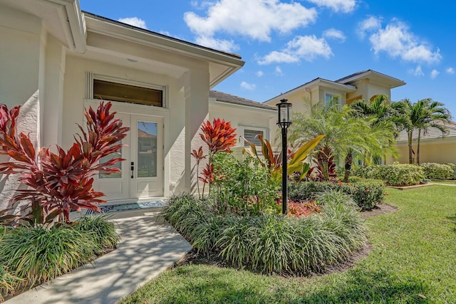 doorway to property with stucco siding and a yard