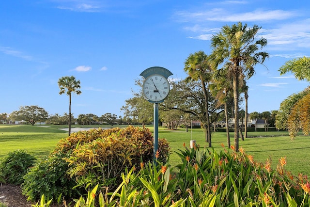 view of home's community with a lawn