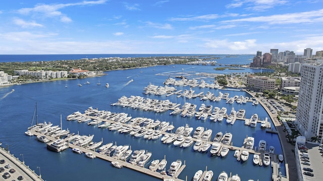 birds eye view of property with a city view and a water view