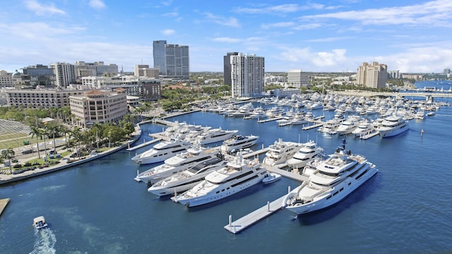 drone / aerial view featuring a view of city and a water view