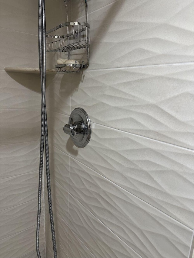 interior details with tiled shower