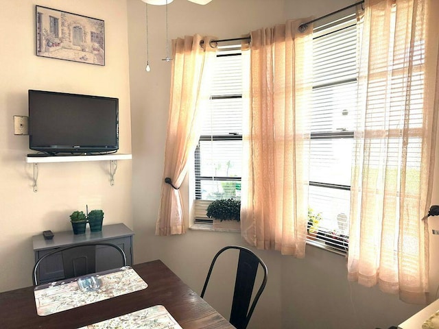 view of dining space