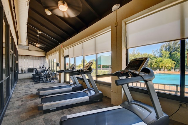 exercise room with carpet, high vaulted ceiling, ceiling fan, and a healthy amount of sunlight