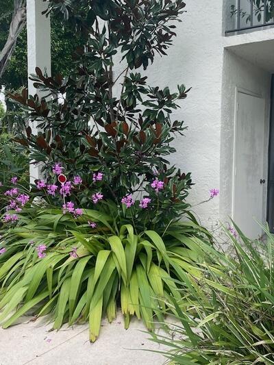 details featuring stucco siding