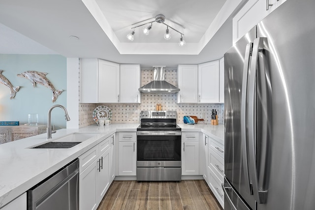 kitchen featuring wall chimney range hood, wood finished floors, stainless steel appliances, a raised ceiling, and a sink