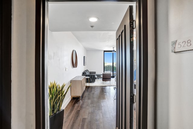 hall with dark wood finished floors, a wall of windows, and baseboards