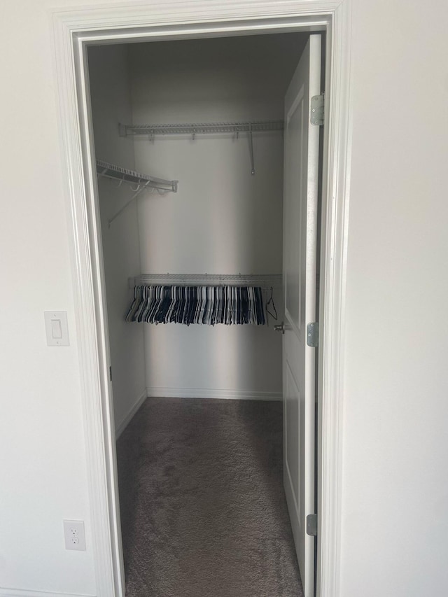 walk in closet featuring carpet floors