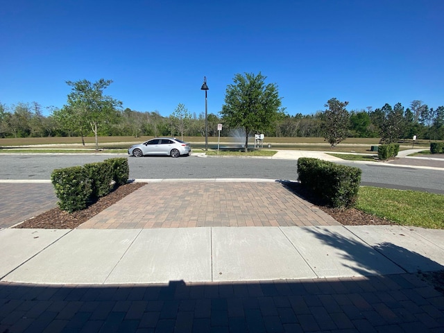 view of street with street lights and driveway