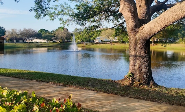 view of water feature