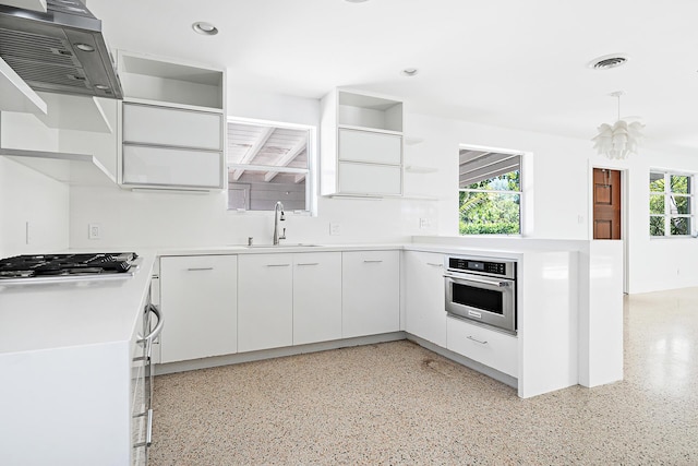 kitchen featuring open shelves, appliances with stainless steel finishes, exhaust hood, and a sink