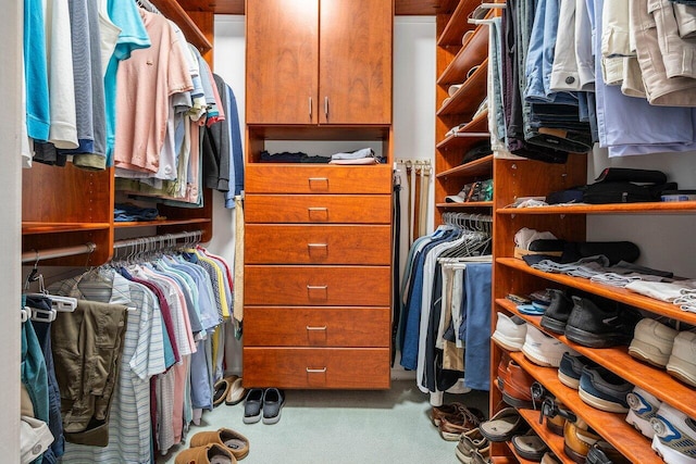 spacious closet featuring carpet floors