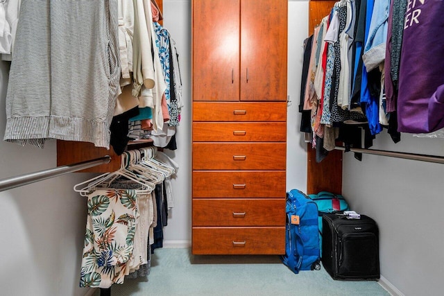 spacious closet featuring carpet flooring