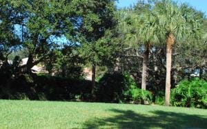 396 Kelsey Park Dr, Palm Beach Gardens, FL 33410 - view of yard