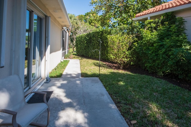 view of yard featuring a patio area