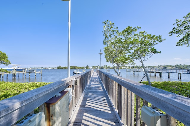 dock area with a water view