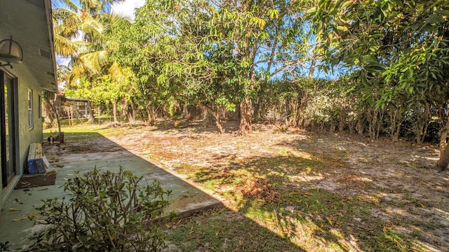 view of yard with a patio area