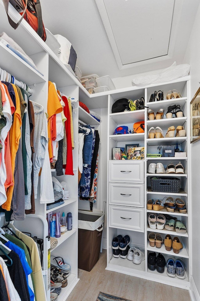 spacious closet featuring light wood-style flooring